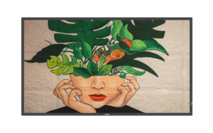 شاشة لوحات رقمية من فيليبس 43 بوصة D-Line دي لاين  43BDL4550D